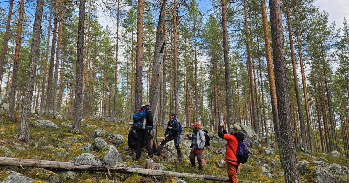 Grupp inventerar i en skog